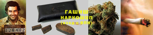 гидра Новозыбков