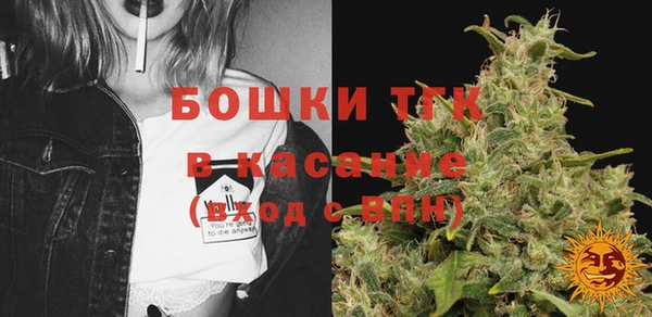 сатива Новодвинск