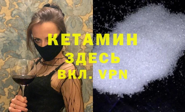 гидра Новозыбков