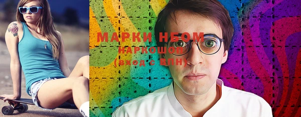 гидра Новозыбков