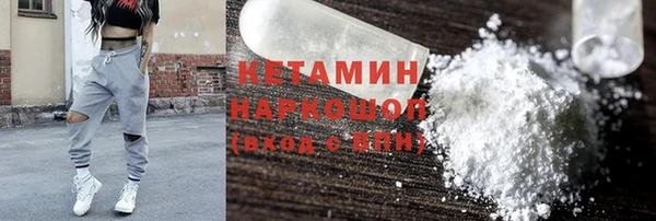 сатива Новодвинск