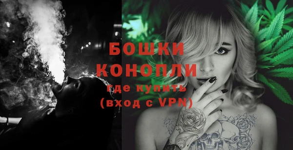 сатива Новодвинск